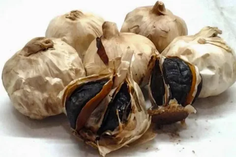 تصویر 1 از سیر سیاه هندی وارداتی با تخمیر طولانی و طعم کاراملی منحصر به فرد